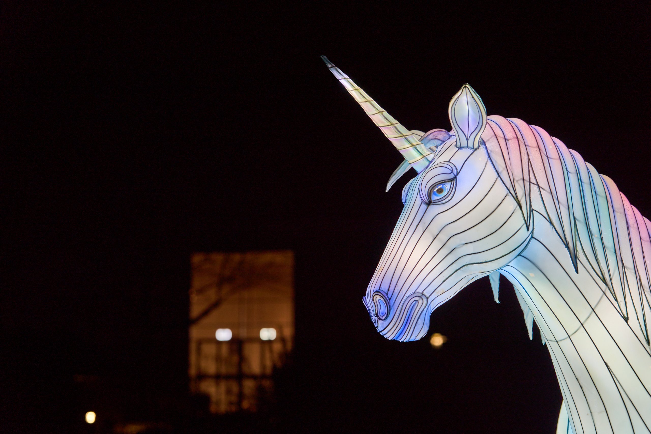 2026 02 03 Parkleuchten 0113